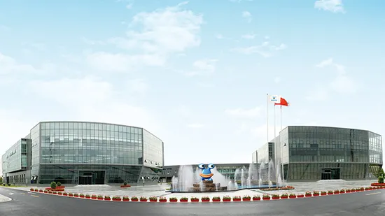 Ceppo di polvere probiotica Lactobacillus Paracasei