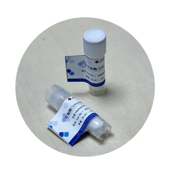 Uricase Uao Preparati enzimatici di alta qualità ad alta specificità