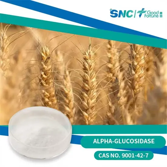 Comext Supply Preparati enzimatici per additivi alimentari Maltase in polvere CAS n. 9001