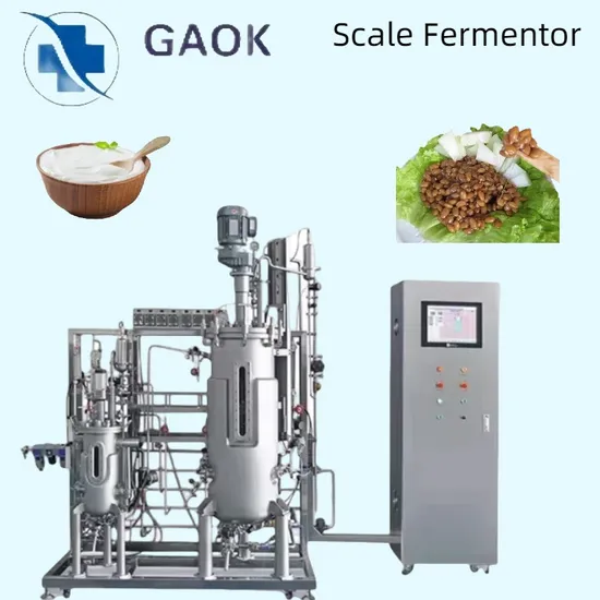 Bioreattore farmaceutico Fermentatore Bioreattore per la preparazione di enzimi